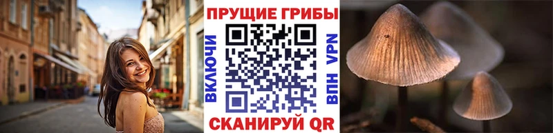 магазин  наркотиков  Артёмовск  Галлюциногенные грибы Magic Shrooms 